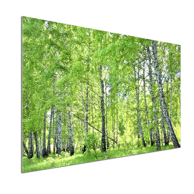 Dekorační panel sklo Břízový les