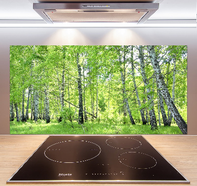 Dekorační panel sklo Břízový les