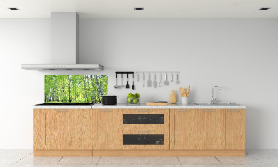 Dekorační panel sklo Břízový les