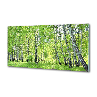 Dekorační panel sklo Břízový les