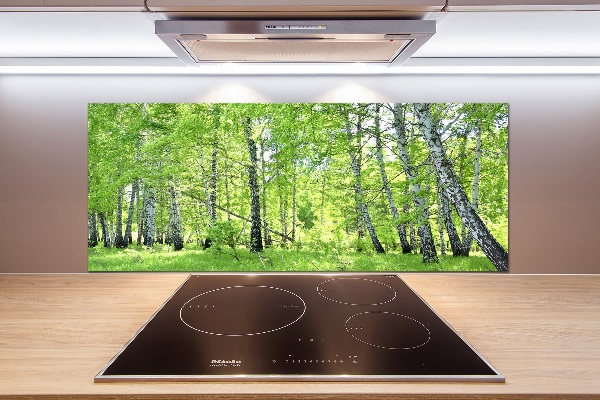 Dekorační panel sklo Břízový les