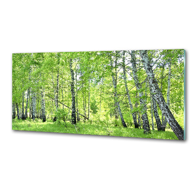 Dekorační panel sklo Břízový les