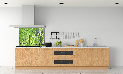 Dekorační panel sklo Břízový les