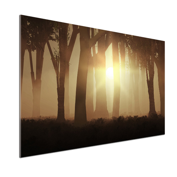 Dekorační panel sklo Mlha v lese