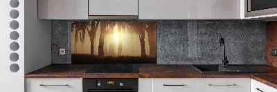 Dekorační panel sklo Mlha v lese
