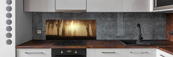 Dekorační panel sklo Mlha v lese