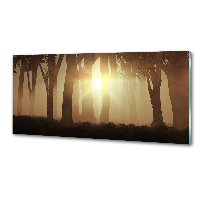 Dekorační panel sklo Mlha v lese