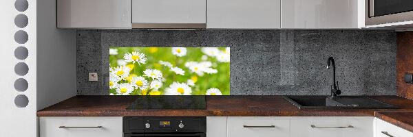 Skleněný panel do kuchynské linky Sedmikrásky