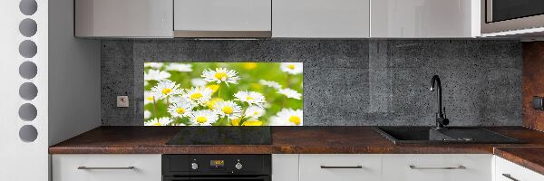 Skleněný panel do kuchynské linky Sedmikrásky