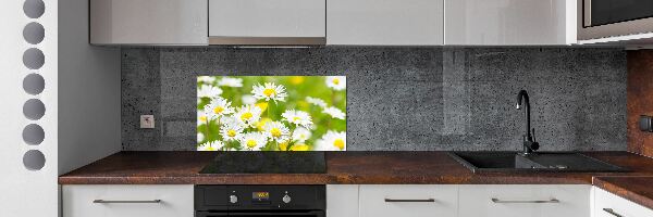 Skleněný panel do kuchynské linky Sedmikrásky