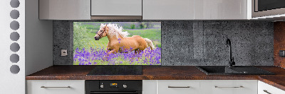 Panel lacobel Kůň na poli levandule