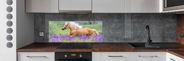 Panel lacobel Kůň na poli levandule
