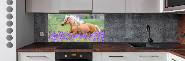 Panel lacobel Kůň na poli levandule