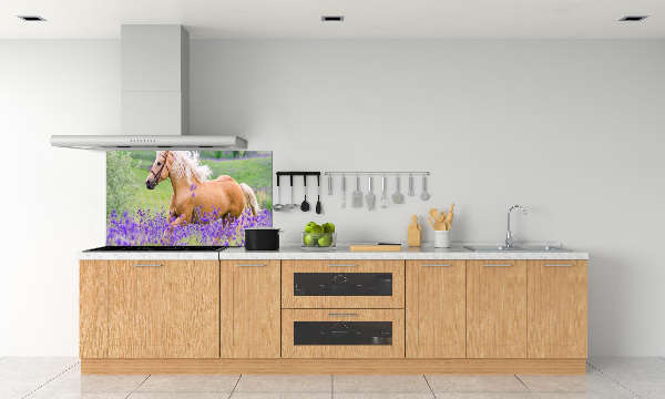 Panel lacobel Kůň na poli levandule