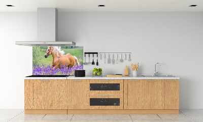 Panel lacobel Kůň na poli levandule