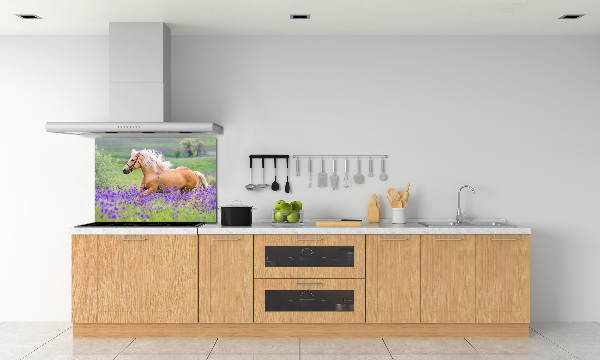 Panel lacobel Kůň na poli levandule