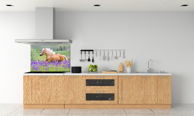 Panel lacobel Kůň na poli levandule