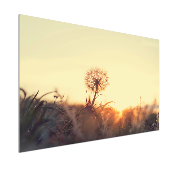 Dekorační panel sklo Pampeliška