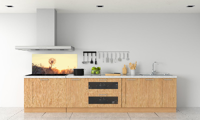 Dekorační panel sklo Pampeliška