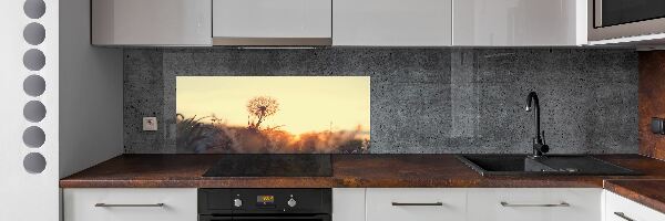 Dekorační panel sklo Pampeliška