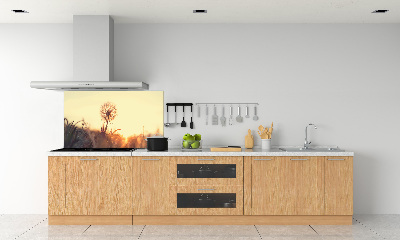 Dekorační panel sklo Pampeliška