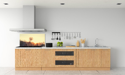 Dekorační panel sklo Pampeliška