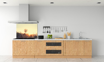 Dekorační panel sklo Pampeliška