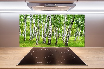 Dekorační panel sklo Břízový les