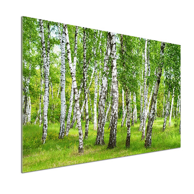 Dekorační panel sklo Břízový les