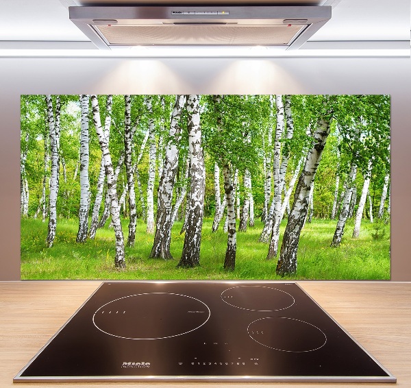 Dekorační panel sklo Břízový les