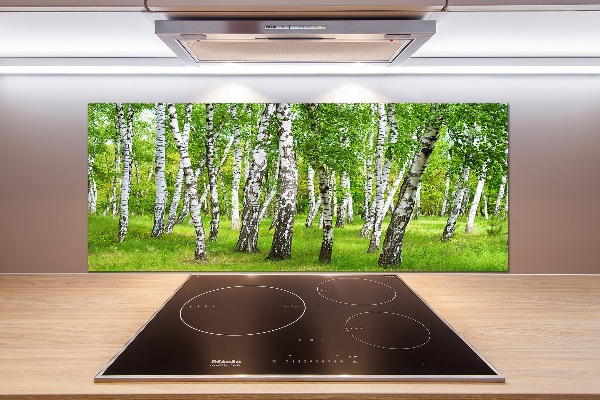 Dekorační panel sklo Břízový les