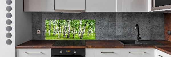 Dekorační panel sklo Břízový les