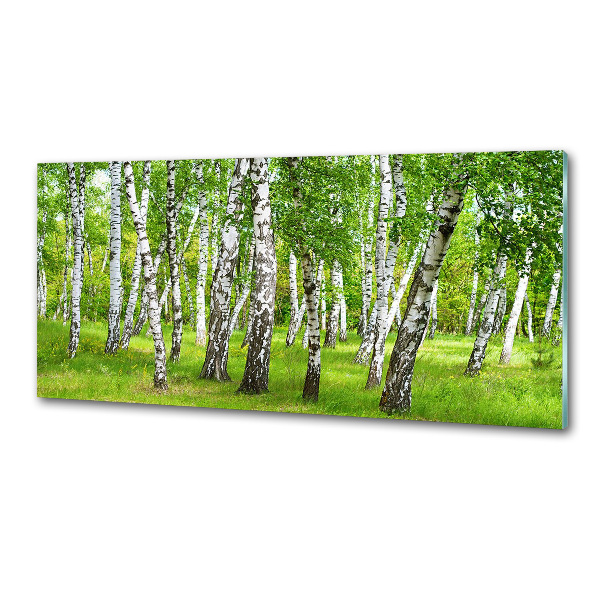 Dekorační panel sklo Břízový les