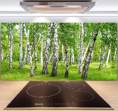 Dekorační panel sklo Břízový les