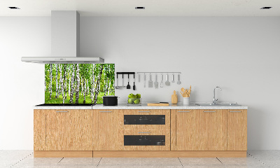 Dekorační panel sklo Břízový les