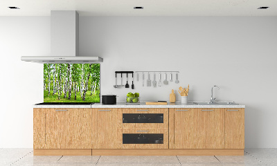 Dekorační panel sklo Břízový les