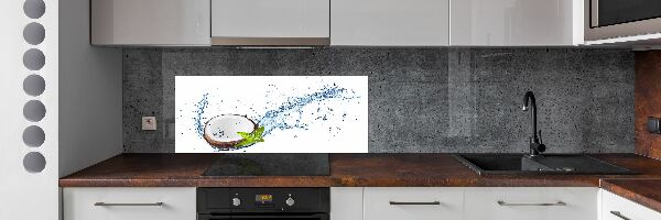 Dekorační panel sklo Kokos a voda
