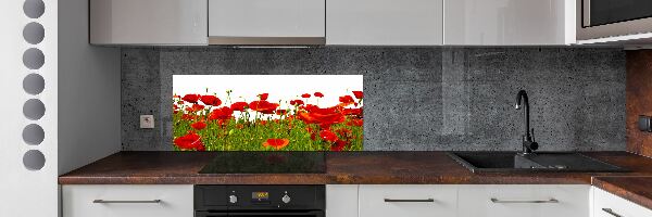 Dekorační panel sklo Polní mák