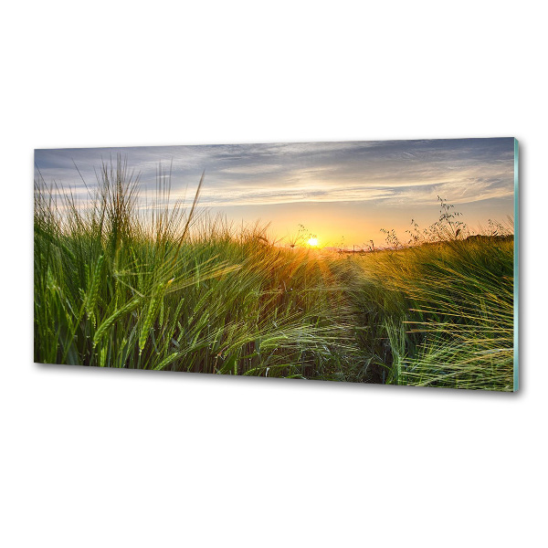 Panel do kuchyně Pole pšenice