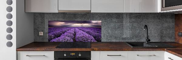 Dekorační panel sklo Pole levandule