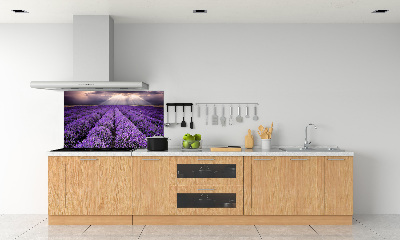 Dekorační panel sklo Pole levandule