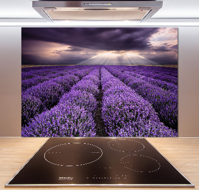 Dekorační panel sklo Pole levandule