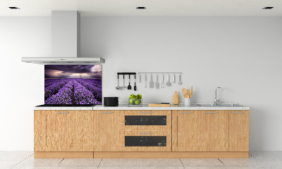 Dekorační panel sklo Pole levandule