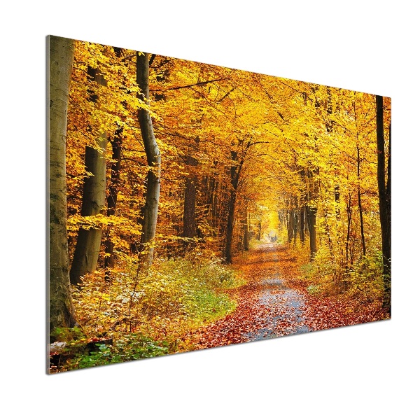 Dekorační panel sklo Podzimní les