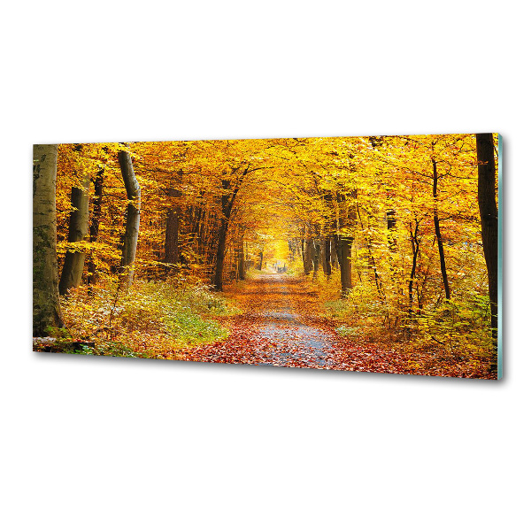 Dekorační panel sklo Podzimní les