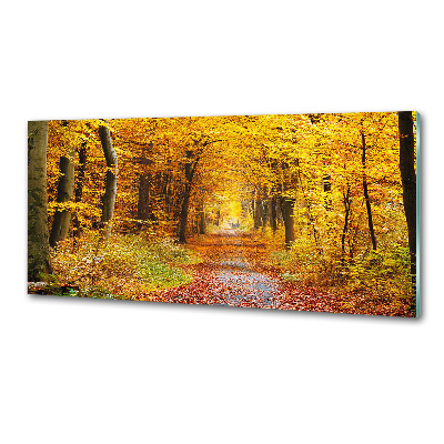 Dekorační panel sklo Podzimní les