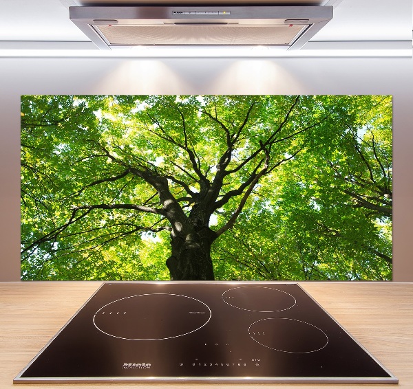 Dekorační panel sklo Zelený les