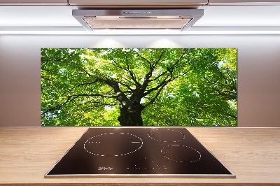 Dekorační panel sklo Zelený les