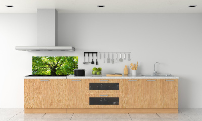 Dekorační panel sklo Zelený les