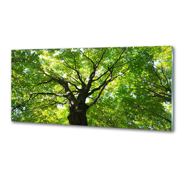 Dekorační panel sklo Zelený les